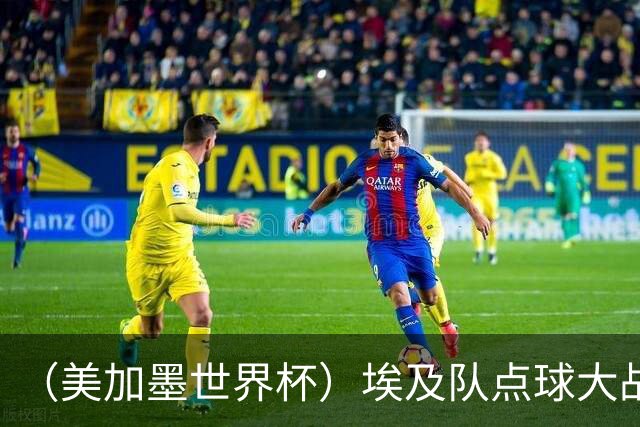 （美加墨世界杯）埃及队点球大战胜澳大利亚队 亚足联队伍全部出局