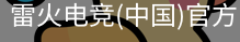 雷火电竞